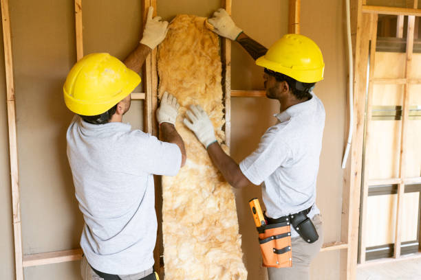 Best Blown-In Insulation  in Worthgton, IN